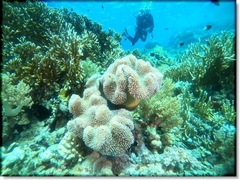 GOPR1739_ALTA3913160386550740899_2